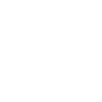 voice-mic